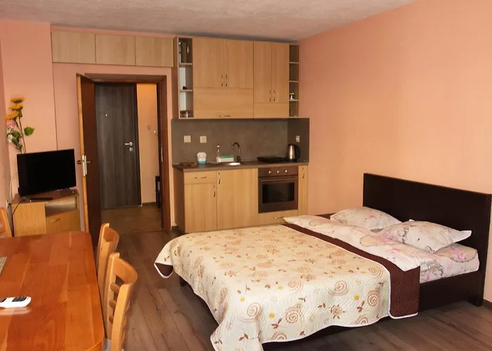 Studio Manushev